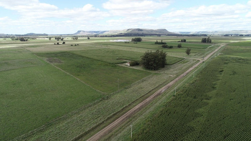 Imagen 21 de 30 de Quinta De 8 Has. A 1.800 Mts Ruta 226 - 100 % Agrícola