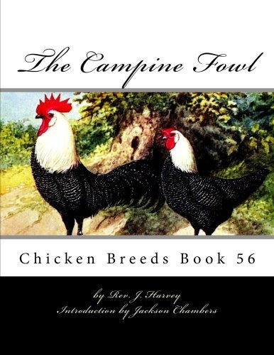 The Campine Fowl Chicken Breeds Book 56