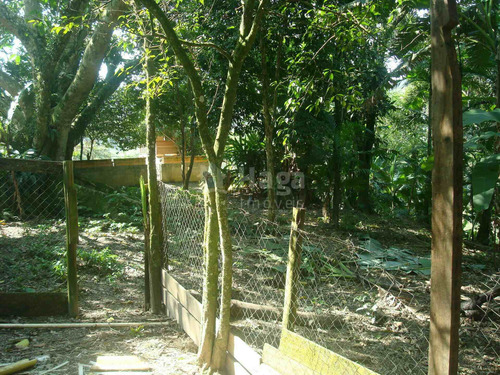 Imagem 23 de 30 de Chácara À Venda No Bairro Pedras Grandes - Botuverá/sc - 1998c