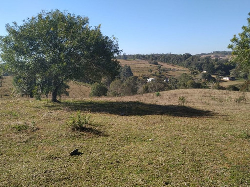 Imagem 26 de 30 de Chácara À Venda, 166375 M² Por R$ 4.000.000,00 - Costeira - São José Dos Pinhais/pr - Ch0081