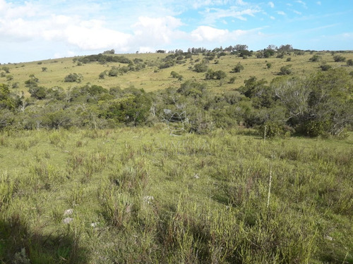Imagen 7 de 14 de Campo Cerca De Pueblo Eden - Consulte !!!!!!! - Pueblo Eden