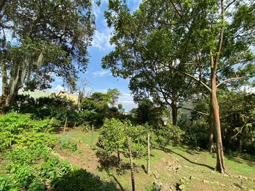 Felidia, 4.093 M2, Finca Campestre.