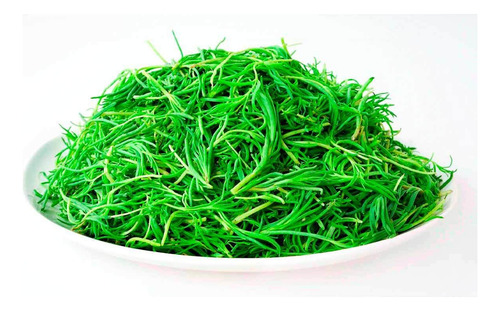 Romeritos 100 g
