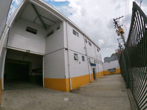 Imagem 1 de 15 de Galpão Comercial 1.500² - Vila Das Palmeiras - 4469-1