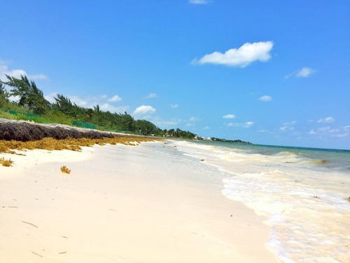 Imagen 22 de 30 de Terreno Con Playa, Bahia Petempich, Pto. Morelos, Quintana R