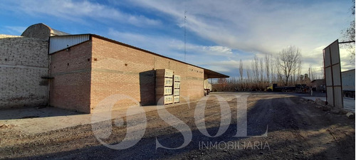 Imagen 25 de 30 de Galpón 1500 M2 En Allen