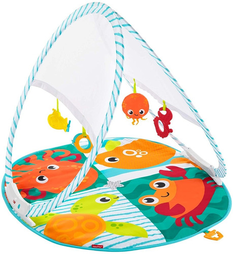Gimnasio Portatil Fisher Price Fold & Go