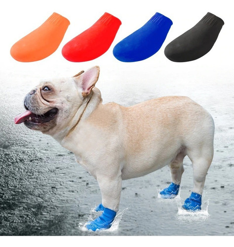 Zapato Para Perro