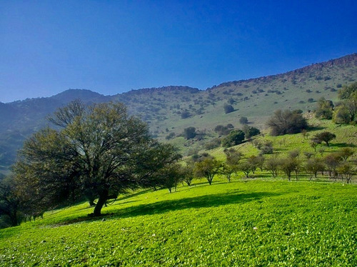 Hermosa Parcela Con Vista Al Valle