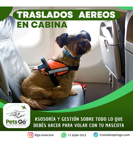 Traslado De Mascotas Terrestre Y Aéreo.