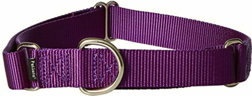 Petsafe Martingale Collar Para Perro, Alternativa Al Collar