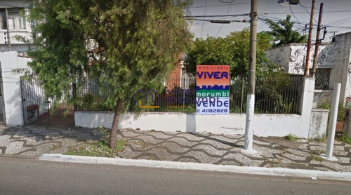 Imagem 2 de 11 de Excelente Ponto Comercial - Nm4882