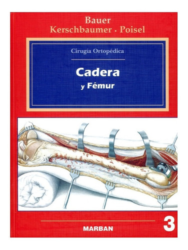 Bauer Cadera Y Femur Marban