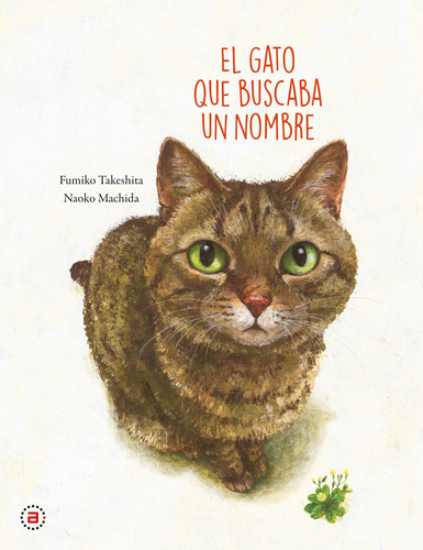 Libro El Gato Que Buscaba Un Nombre Por Fumiko Takeshita