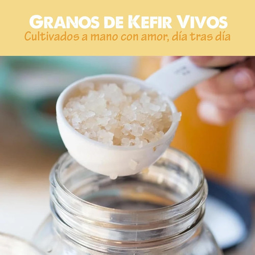 Nodulos Tibicos - Kéfir De Agua Vivos + Recetas + Manual