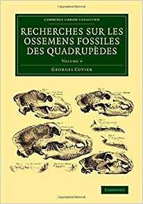 Recherches Sur Les Ossemens Fossiles Des Quadrupedes (cambri