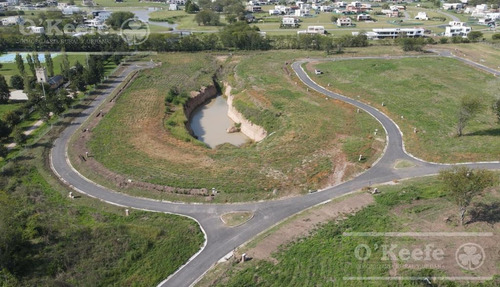Imagen 3 de 14 de Excelente Lote En San Juan Chico - Gran Oportunidad De Inversión En Hudson. Posesión Inmediata