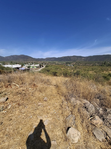 Terreno Plano 5.000 M2 Con Rol Propio En Isla Briones