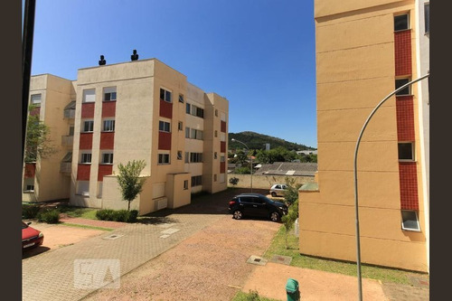 Imagem 6 de 15 de Apartamento Para Aluguel - Hipica, 2 Quartos, 51 - 893483689