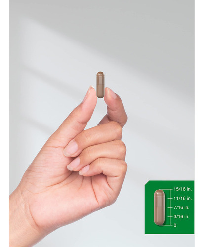 Extracto De Hongo Melena De León 4200 Mg 120 Cápsulas Sabor Sin Sabor