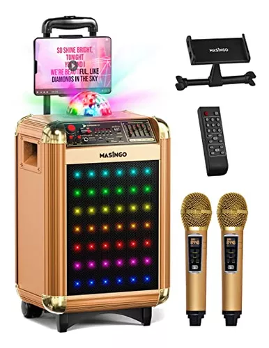 Máquina de karaoke para adultos y niños, altavoz portátil de karaoke  Bluetooth para TV, con 2 micrófonos inalámbricos, sistema de altavoces PA  para