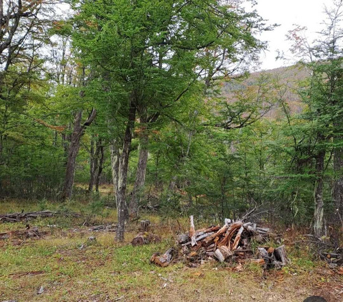 Conectividad En Invierno Y Agüa De Arroyo (85176)