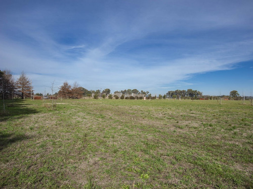 Imagen 7 de 12 de Chacra 1 Ha. - Las Juntas - San Antonio De Areco