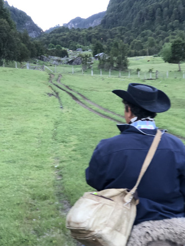 Campo 32 Hectáreas En Venta, Comuna De Cochamó