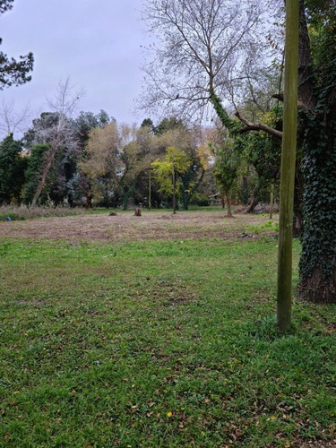 Imagen 2 de 3 de Terreno En Barrio Colina Alegre!