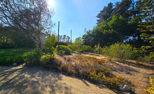 Alta Plusvalía, Terreno Con Piscina, Quincho, Pozo, Riego.