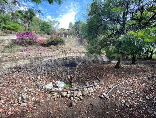 Terreno En Venta, Tlacotepec, Zacualpan De Amilpas, Morelos