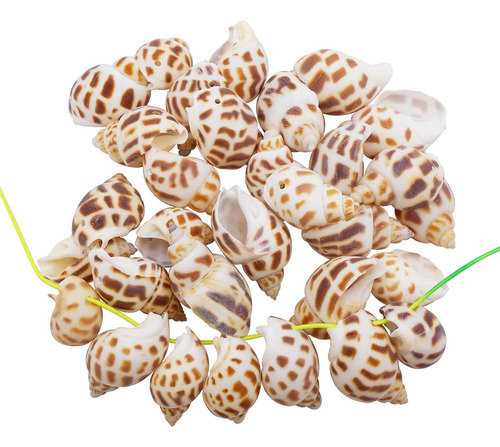 60 Piezas De Conchas De Mar Perforadas, Cuentas De Conchas M