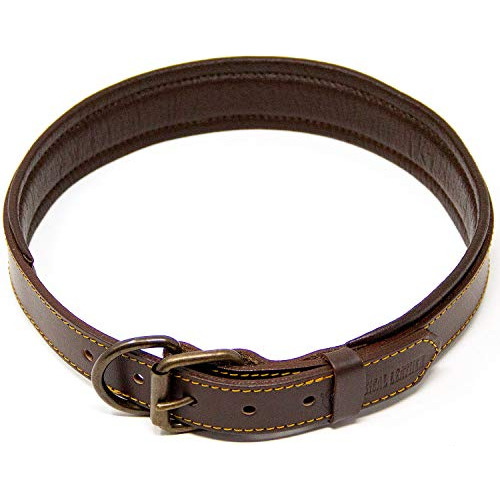 Piel Lógica Collar De Perro Acolchada - Mejor De Grano Lleno