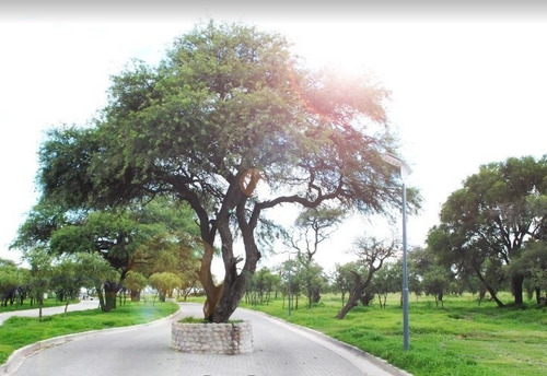 Imagen 9 de 9 de Venta De Lote En 7 Soles Zona Parterres!!