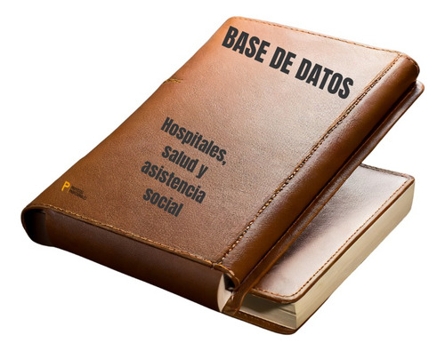 Ppm Base De Datos Hospitales Digital