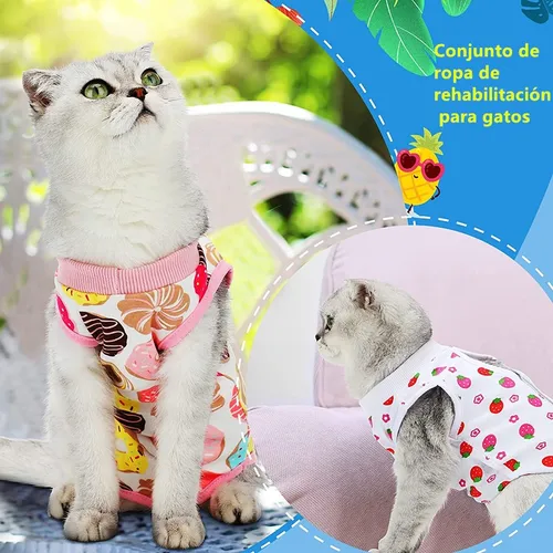 Xu Algodón Faja For Perros Gatos Esterilizada Y