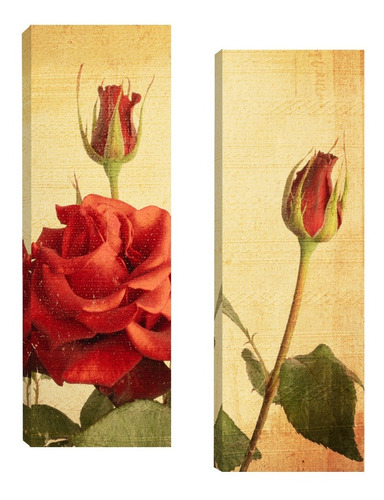 Quadros Para Sala Quarto Corredor Floral Par 20x60 924f