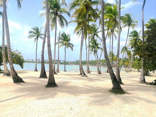 Villa En Venta En Playa Nueva Romana.