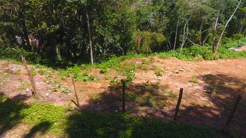 Imagem 10 de 15 de Lotes Exclusivos No Cônego - Lote 13 - 232
