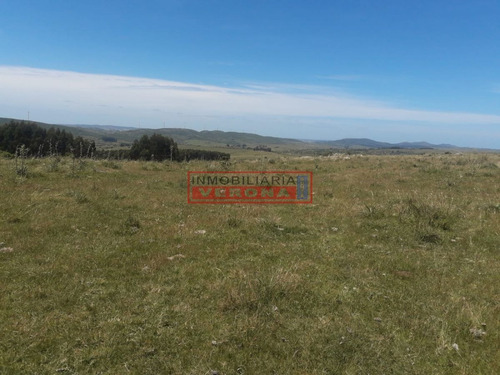 Imagen 14 de 16 de Campo En Carape - Departamento De Maldonado