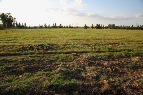 La Eugenia By Moradas - Lote 10 600m²-posesion Inmediata