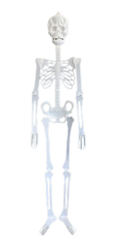 Brillante Decoración De Esqueleto De Halloween En La Oscurid