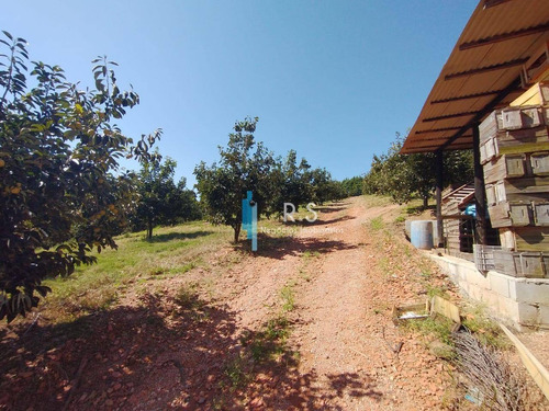 Sítio À Venda, 40000 M² Por R$ 2.000.000,00 - Engenho Seco - Louveira/sp - Si0009