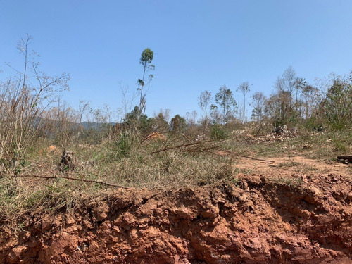 Imagem 12 de 12 de Me- Terreno Direto Com O Dono