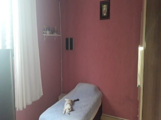 Imagem 25 de 30 de Casa - Ca00142 - 33662792