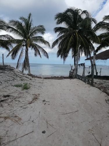 Imagen 2 de 12 de Via Mare