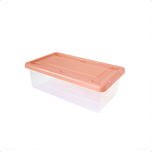 Caja Organizadora De Zapatos X6 Unidades Plastica 38x22x12,5