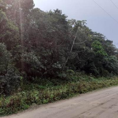 Imagem 1 de 4 de Terreno Com Entrada De 5 Mil Reais - Itanhaém 7213 | Sanm