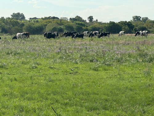 Lote De 10 Mtrs De Frente X 30 De Fondo