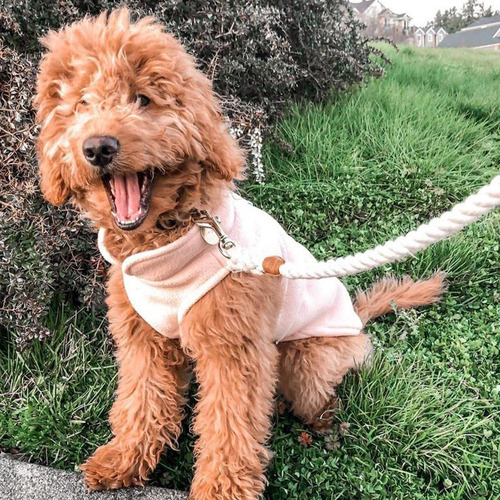 Chaqueta De Forro Polar Con Anillo Suéter Perros Pequeños
